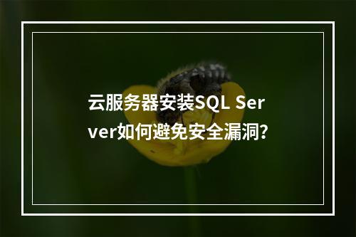 云服务器安装SQL Server如何避免安全漏洞？