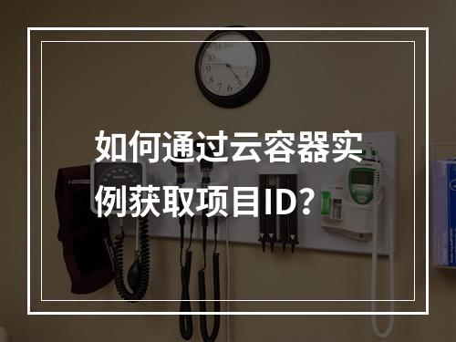 如何通过云容器实例获取项目ID?