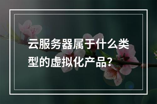 云服务器属于什么类型的虚拟化产品？