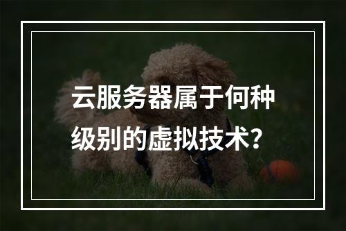 云服务器属于何种级别的虚拟技术？