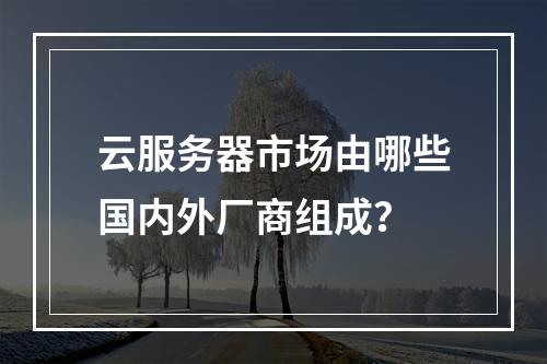云服务器市场由哪些国内外厂商组成？