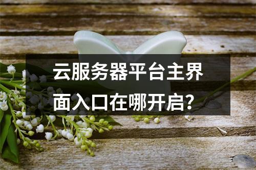 云服务器平台主界面入口在哪开启？