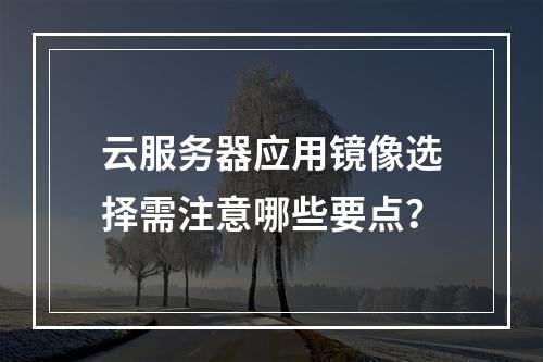 云服务器应用镜像选择需注意哪些要点？