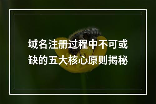 域名注册过程中不可或缺的五大核心原则揭秘