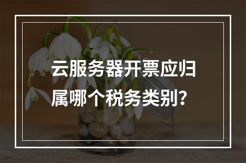 云服务器开票应归属哪个税务类别？