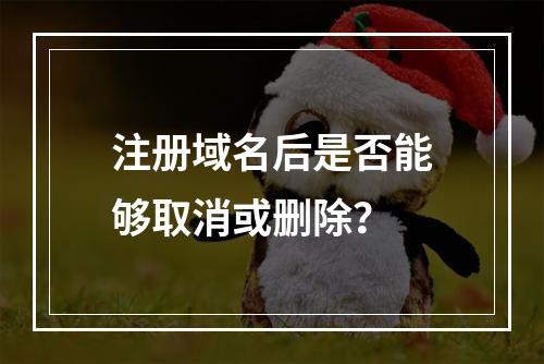 注册域名后是否能够取消或删除?