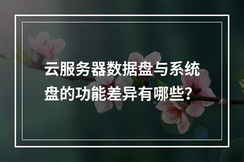 云服务器数据盘与系统盘的功能差异有哪些？