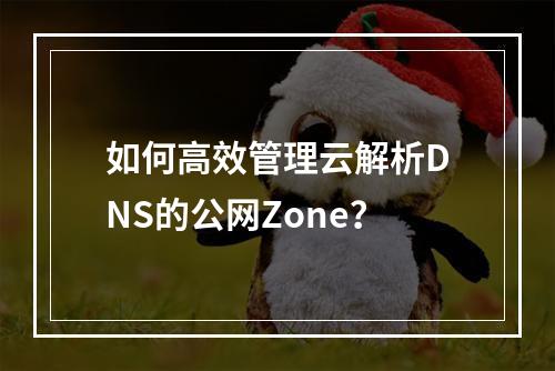 如何高效管理云解析DNS的公网Zone?