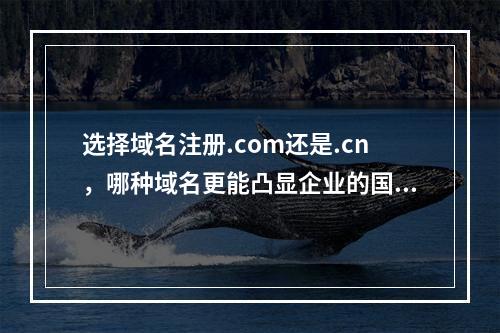 选择域名注册.com还是.cn,哪种域名更能凸显企业的国际视野?