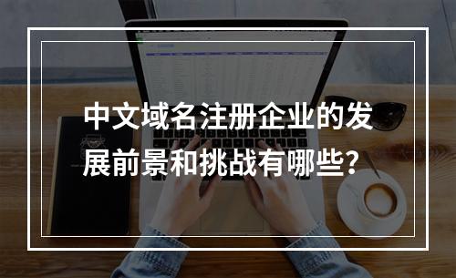 中文域名注册企业的发展前景和挑战有哪些?