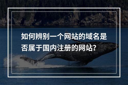 如何辨别一个网站的域名是否属于国内注册的网站?