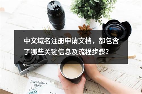 中文域名注册申请文档,都包含了哪些关键信息及流程步骤?