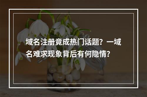 域名注册竟成热门话题?一域名难求现象背后有何隐情?