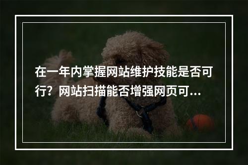 在一年内掌握网站维护技能是否可行?网站扫描能否增强网页可访问性?