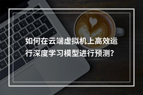 如何在云端虚拟机上高效运行深度学习模型进行预测?