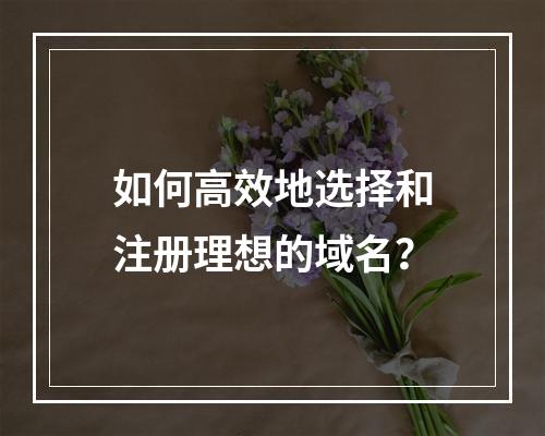 如何高效地选择和注册理想的域名?
