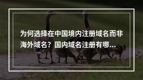 为何选择在中国境内注册域名而非海外域名?国内域名注册有哪些独特优势?