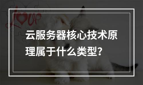 云服务器核心技术原理属于什么类型？
