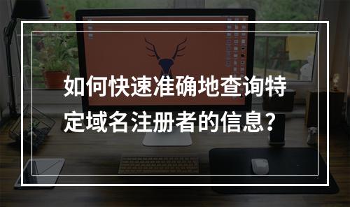 如何快速准确地查询特定域名注册者的信息?