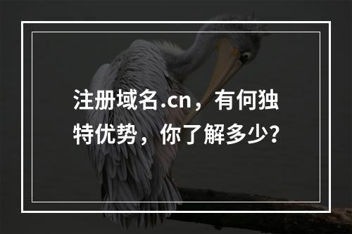 注册域名.cn,有何独特优势,你了解多少?