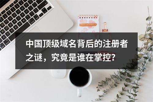 中国顶级域名背后的注册者之谜,究竟是谁在掌控?