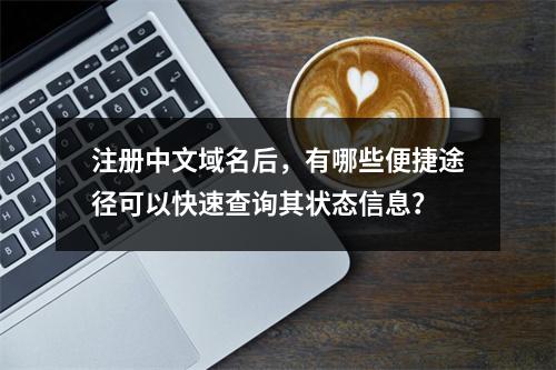 注册中文域名后,有哪些便捷途径可以快速查询其状态信息?