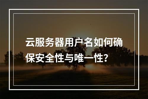 云服务器用户名如何确保安全性与唯一性？