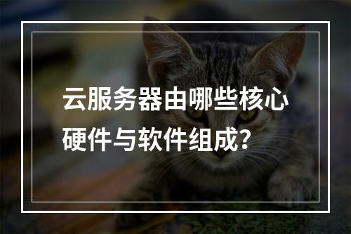 云服务器由哪些核心硬件与软件组成？
