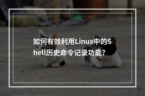 如何有效利用Linux中的Shell历史命令记录功能?