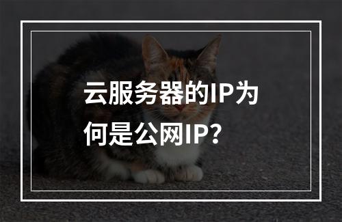 云服务器的IP为何是公网IP？