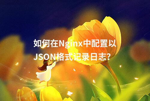 如何在Nginx中配置以JSON格式记录日志?