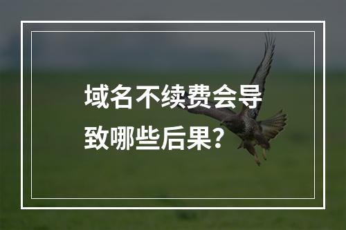 域名不续费会导致哪些后果?