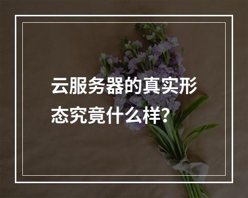 云服务器的真实形态究竟什么样？