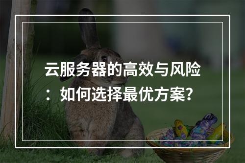云服务器的高效与风险：如何选择最优方案？