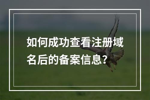 如何成功查看注册域名后的备案信息?