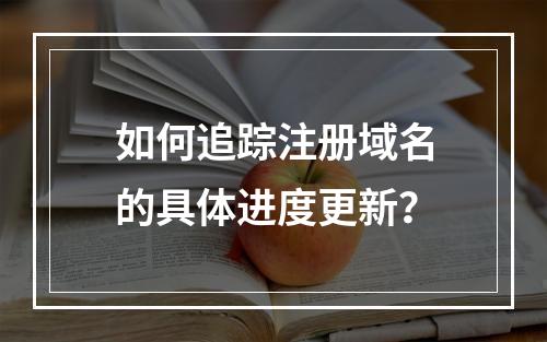 如何追踪注册域名的具体进度更新?