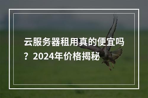 云服务器租用真的便宜吗？2024年价格揭秘