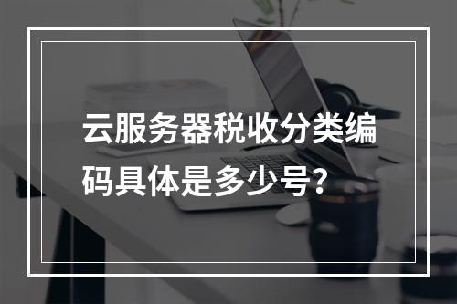 云服务器税收分类编码具体是多少号？