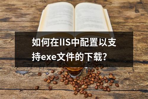 如何在IIS中配置以支持exe文件的下载?
