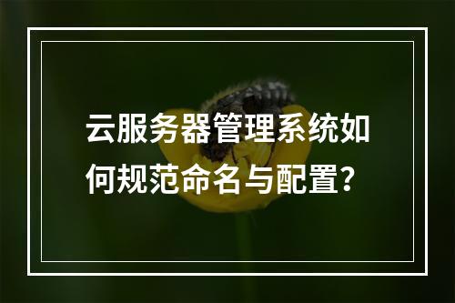 云服务器管理系统如何规范命名与配置？