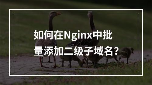 如何在Nginx中批量添加二级子域名?