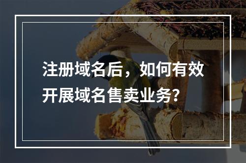 注册域名后,如何有效开展域名售卖业务?