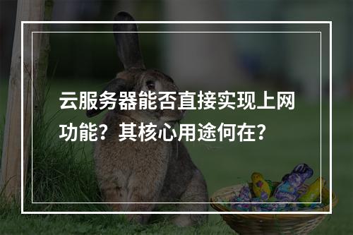 云服务器能否直接实现上网功能？其核心用途何在？