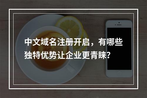 中文域名注册开启,有哪些独特优势让企业更青睐?
