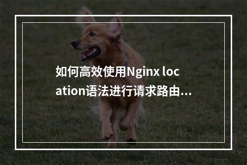 如何高效使用Nginx location语法进行请求路由管理?