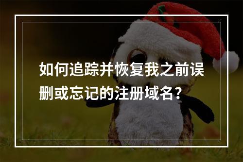 如何追踪并恢复我之前误删或忘记的注册域名?