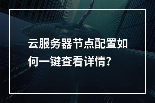 云服务器节点配置如何一键查看详情？