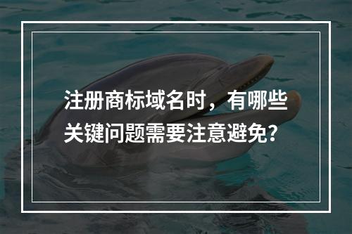 注册商标域名时,有哪些关键问题需要注意避免?