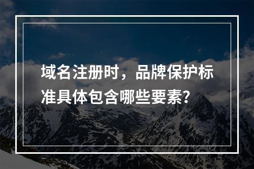域名注册时,品牌保护标准具体包含哪些要素?