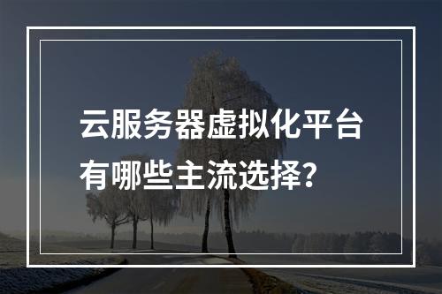 云服务器虚拟化平台有哪些主流选择？
